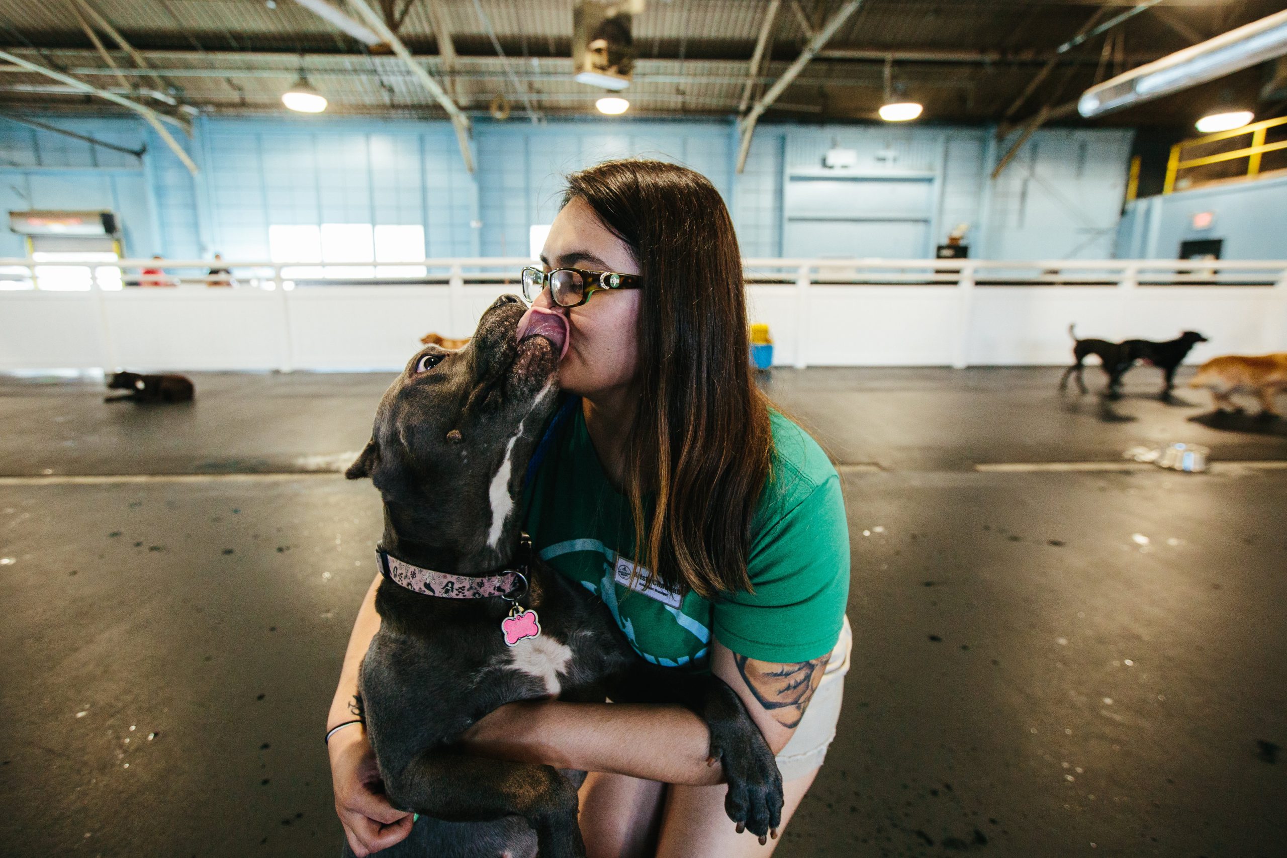 Extra Ear Rubs, Extra Cash The Watering Bowl Doggy Daycare & Boarding